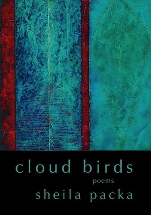 cloud birds image
